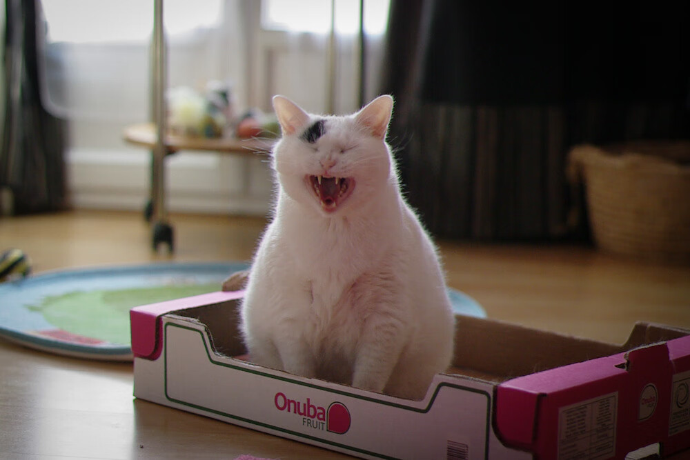 爱游戏官方-跨越大洋的逆袭，步行者队力克福建，保罗上演状态火热传奇