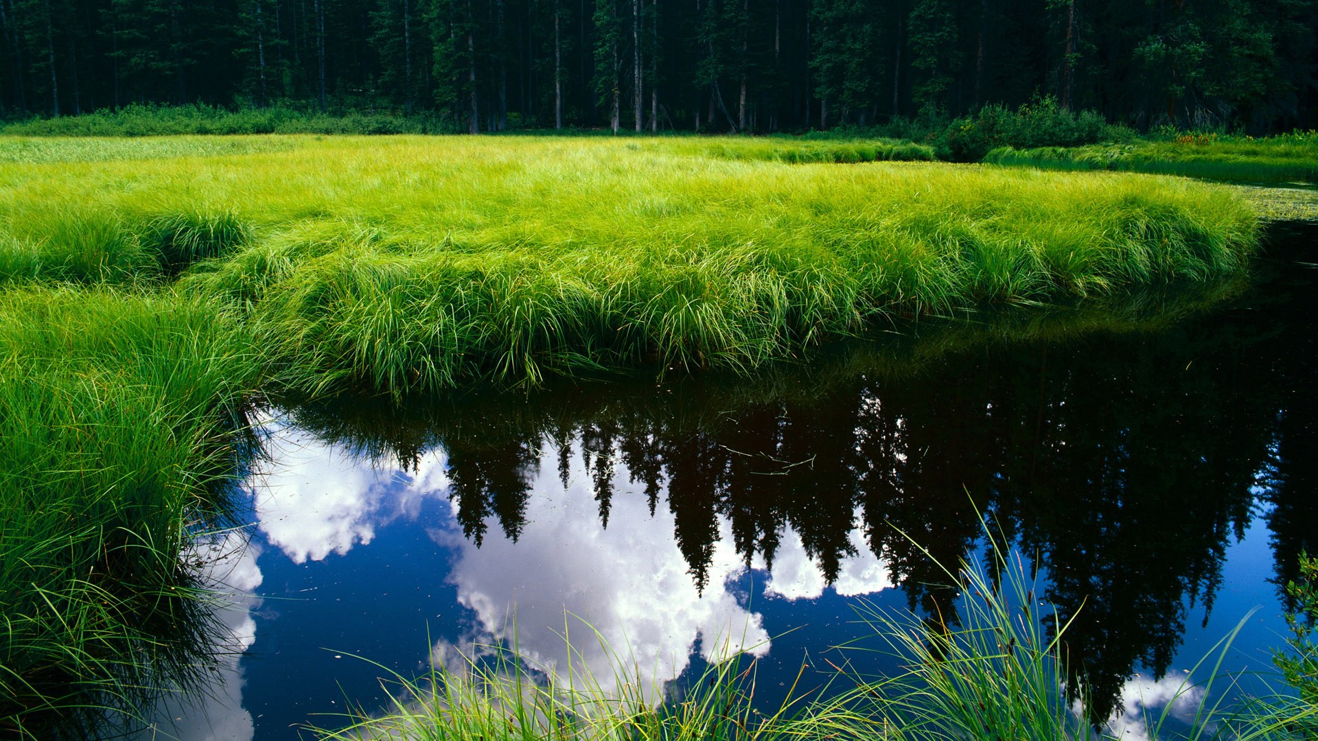 爱游戏体育-团队的韧性与个人的魔力，爵士加时胜快船与欧文的西决传奇