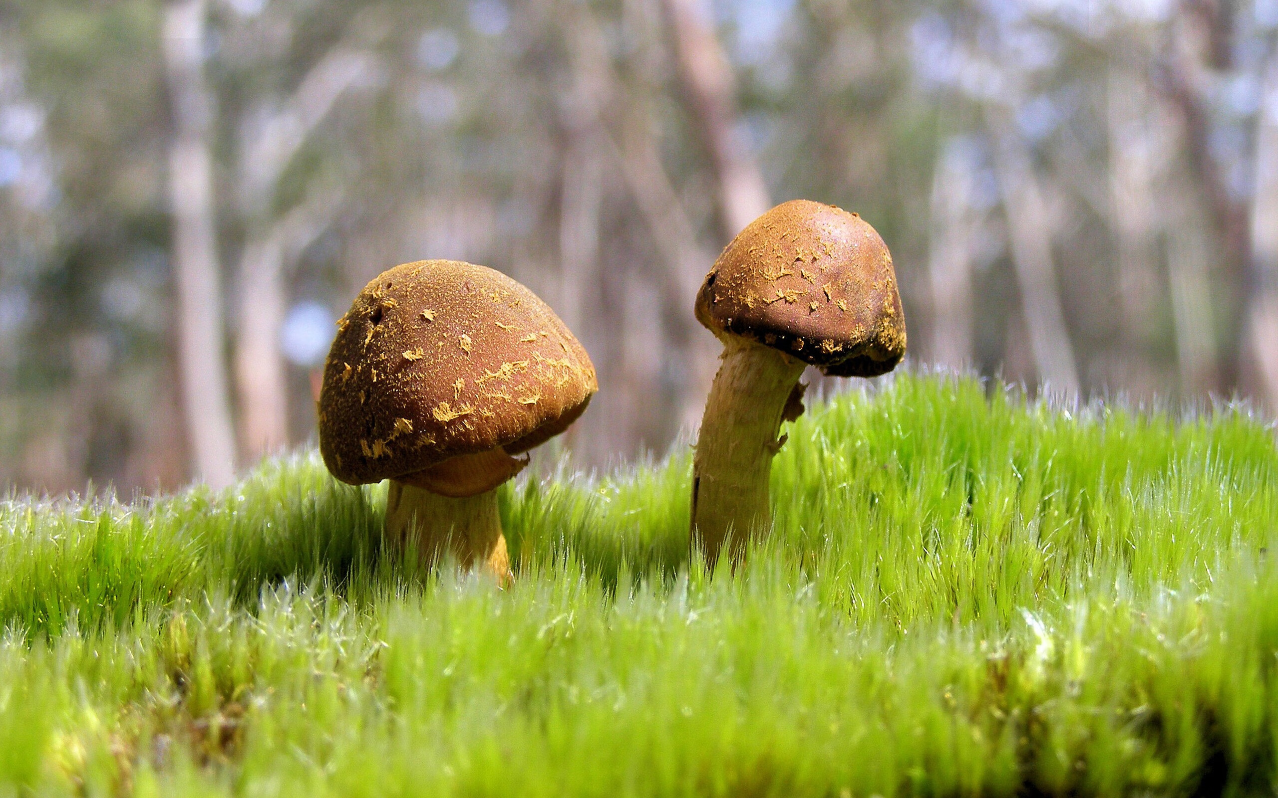 爱游戏官方-铁壁与神钥，梅西穿透马竞钢铁牢笼