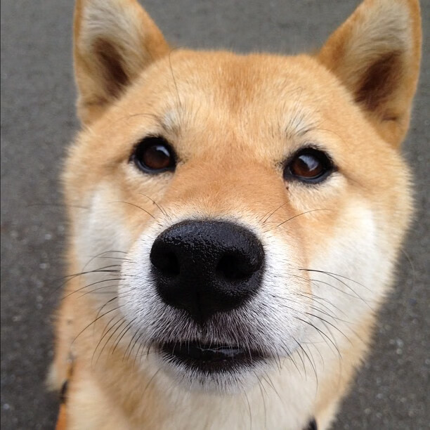 爱游戏在线-巴黎凌晨四点的地下铁，文班亚马与一座城的奥运心跳