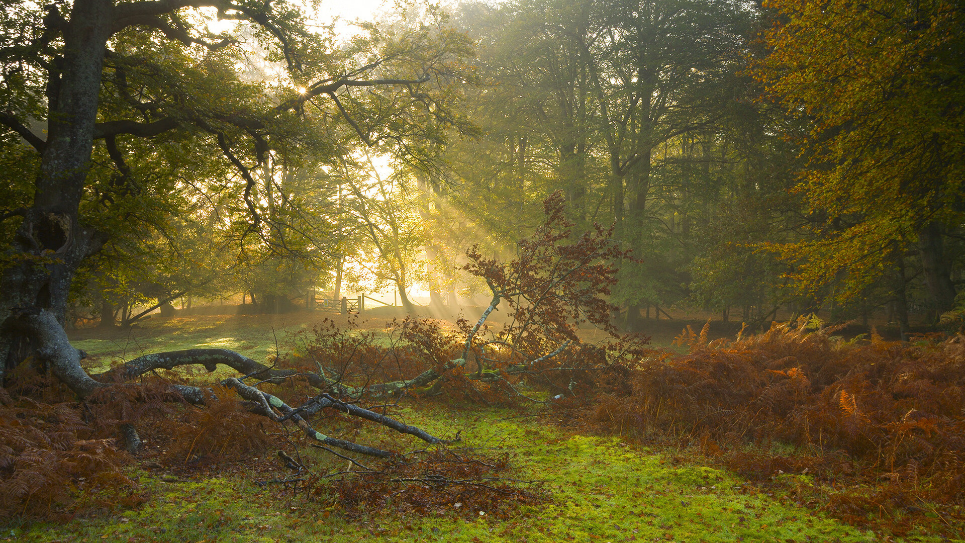 双维度的史诗，奥运周期关键战之夜，萨拉赫的里程碑与文明隐喻