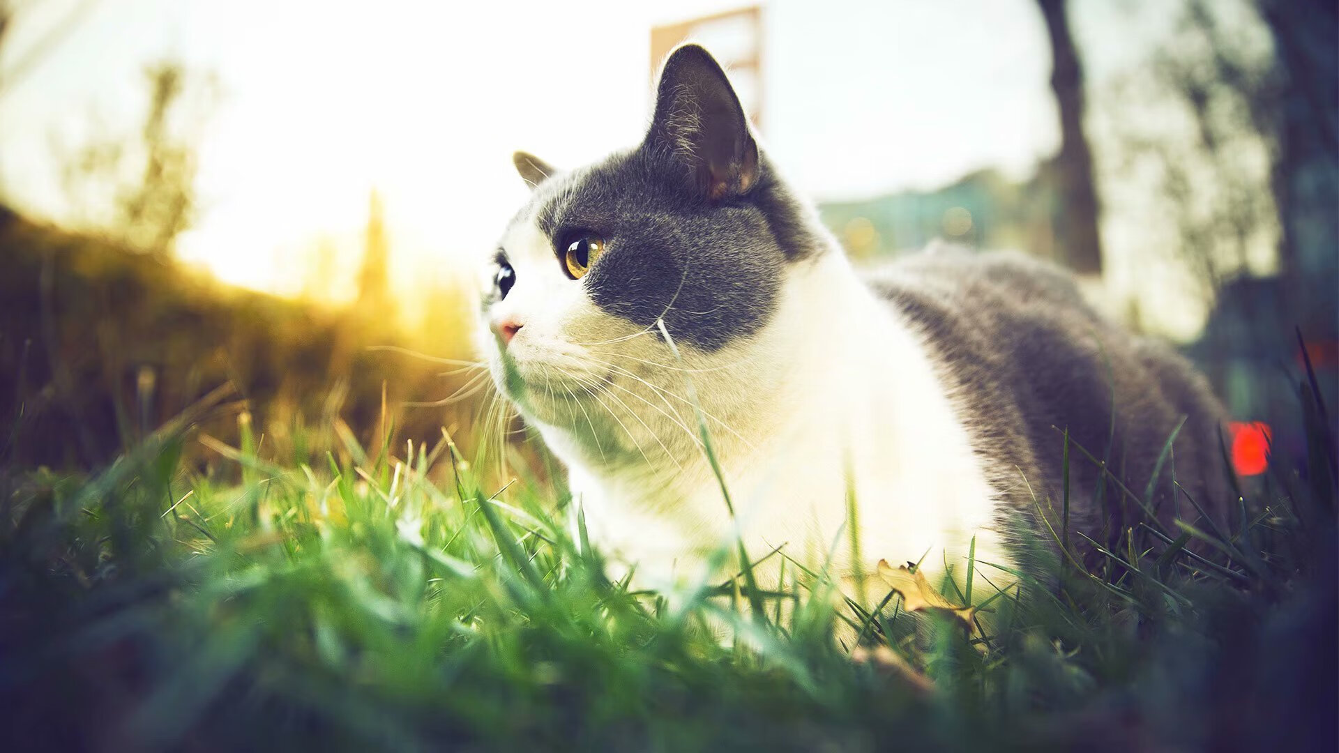 爱游戏APP-一夫当关，斯通斯如何用一场完美表现，重新定义足球防守的艺术