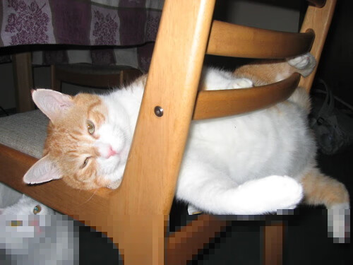 爱游戏-双线救赎，国家使命与个人巅峰的交响