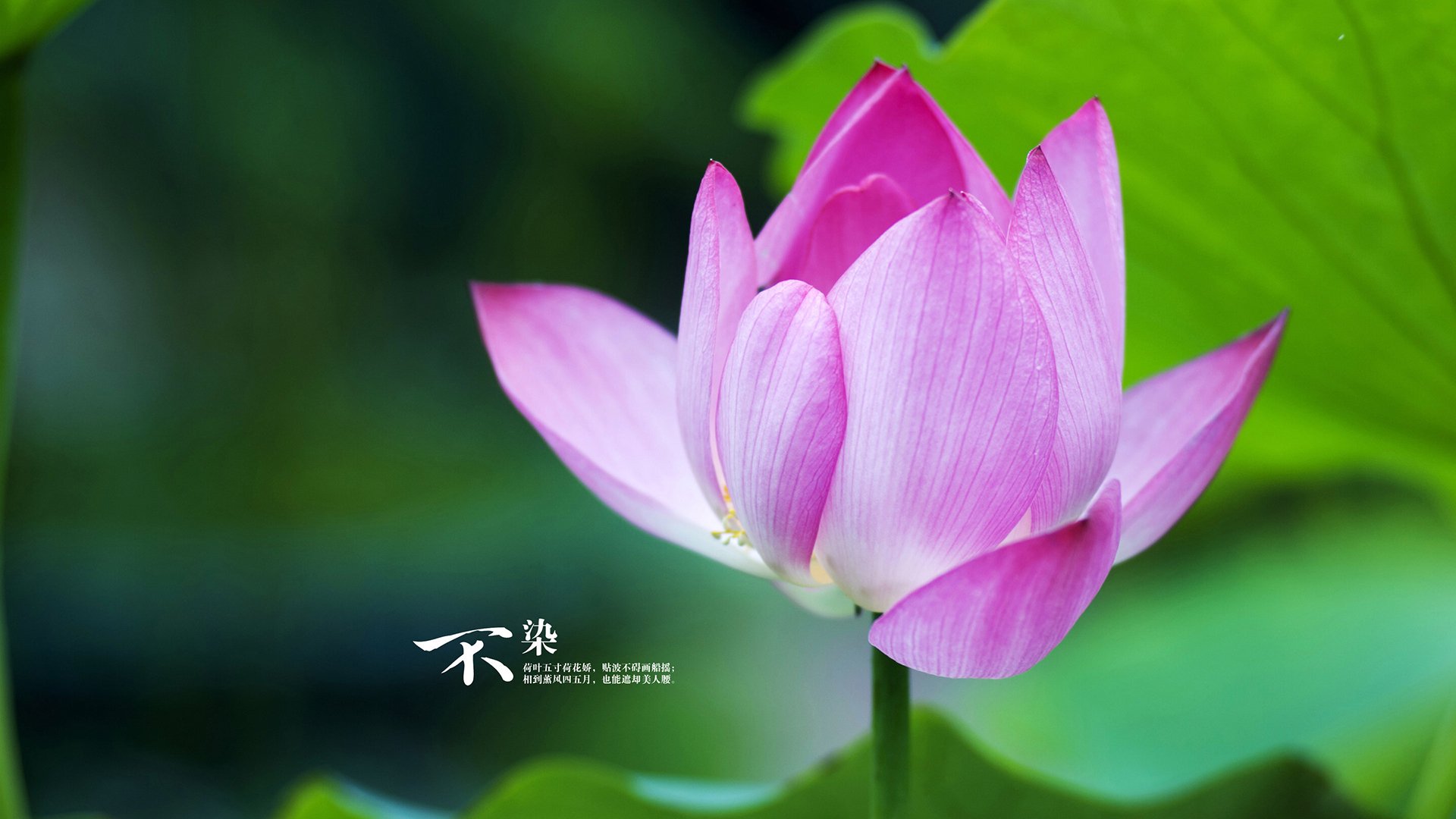 爱游戏下载-童话没有结局，只有一场真实的绞杀