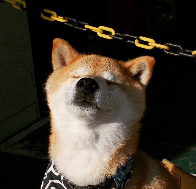 铁闸与利刃,霍勒迪攻防一体爆发,步行者末节一波流带走凯尔特人