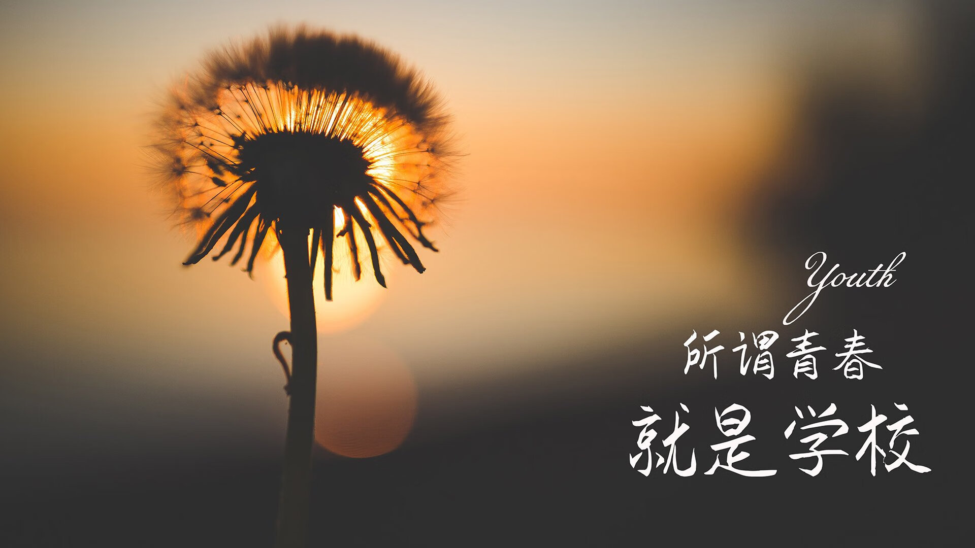爱游戏官网-2026世界杯E组生死战，加纳黑星闪耀，迪亚斯一剑封喉