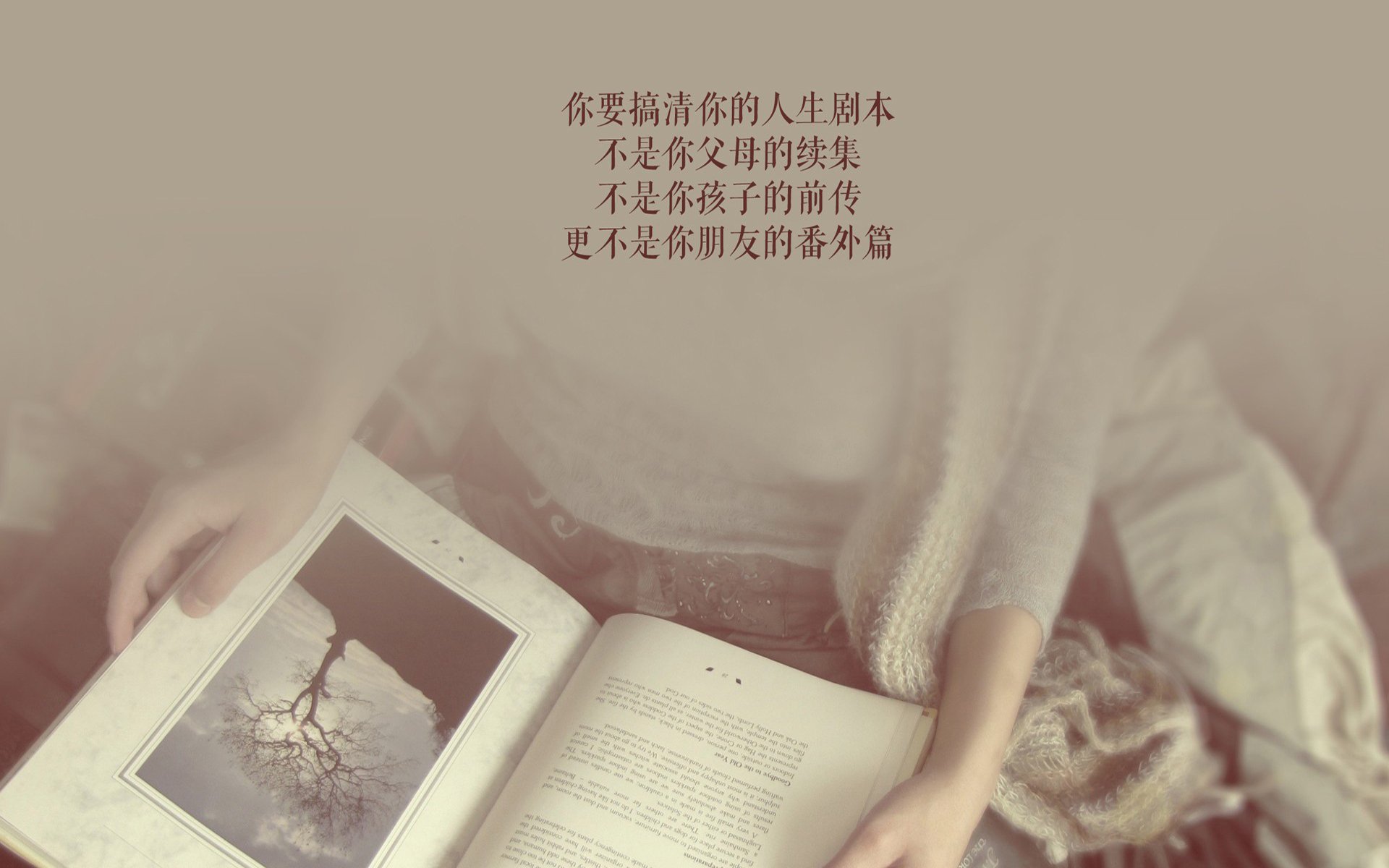 爱游戏下载-2026世界杯C组之夜，贝林厄姆引爆进攻狂潮，喀麦隆难挡日耳曼战车